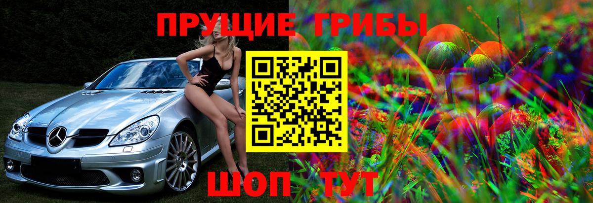 Орехово-Зуево  Галлюциногенные грибы прущие грибы  Вход с VPN  Галлюциногенные грибы прущие грибы 